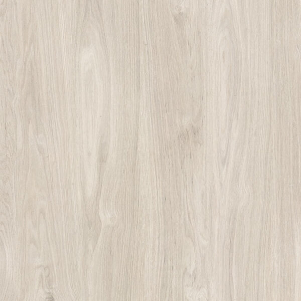 Semi-Gress CANELA CZ 81X81 – 1°Linha – Retificado