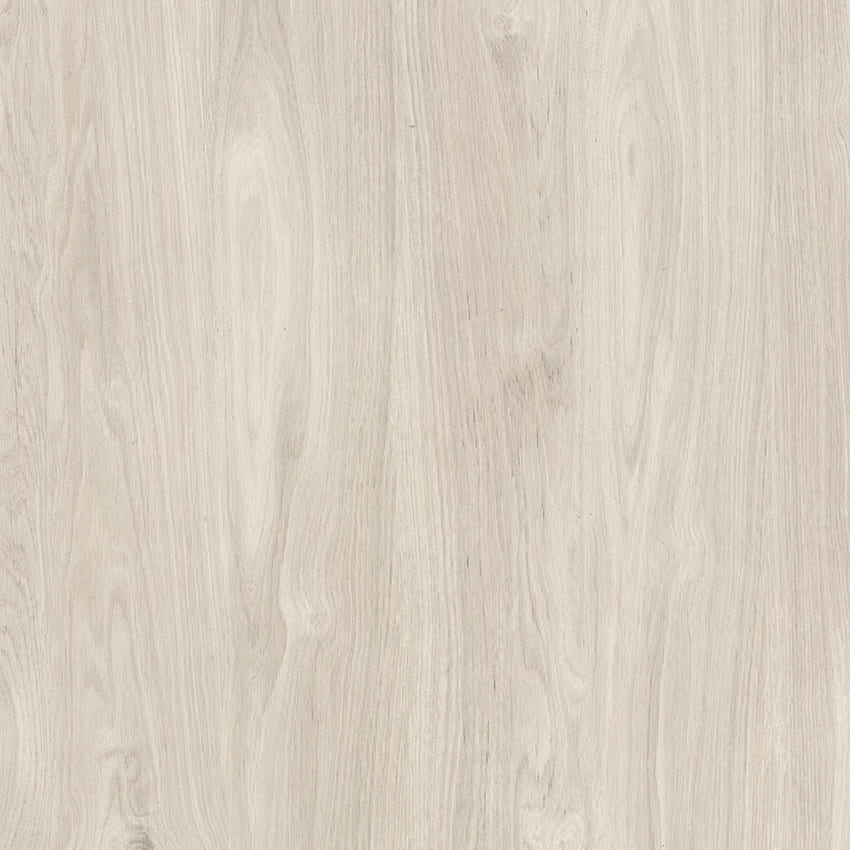 Semi-Gress CANELA CZ 81X81 – 1°Linha – Retificado