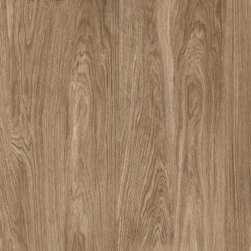 Semi-Gress CANELA MR 81X81 – 1°Linha – Retificado