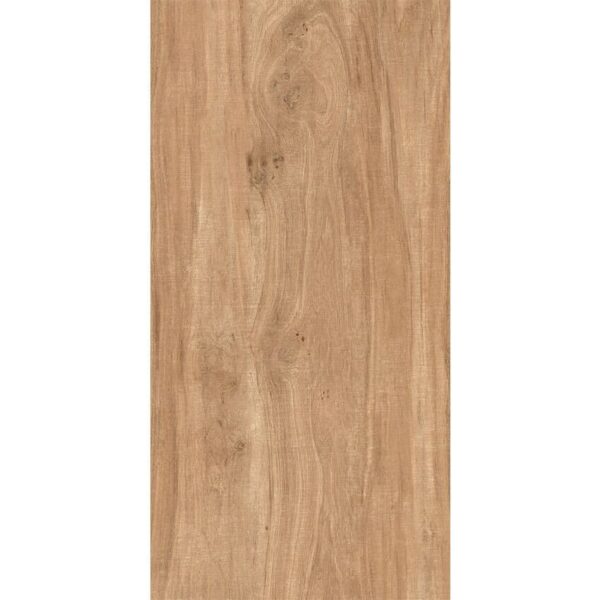 Semi-Gress CARVALHO NATURAL 1,20X0,60 – 1°Linha – Retificado