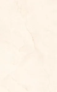 10778 1