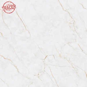 Construsilva Produto 1x1 porcelanato gaudi aurum ice endless f1