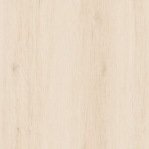zoom r7093 25080227ae